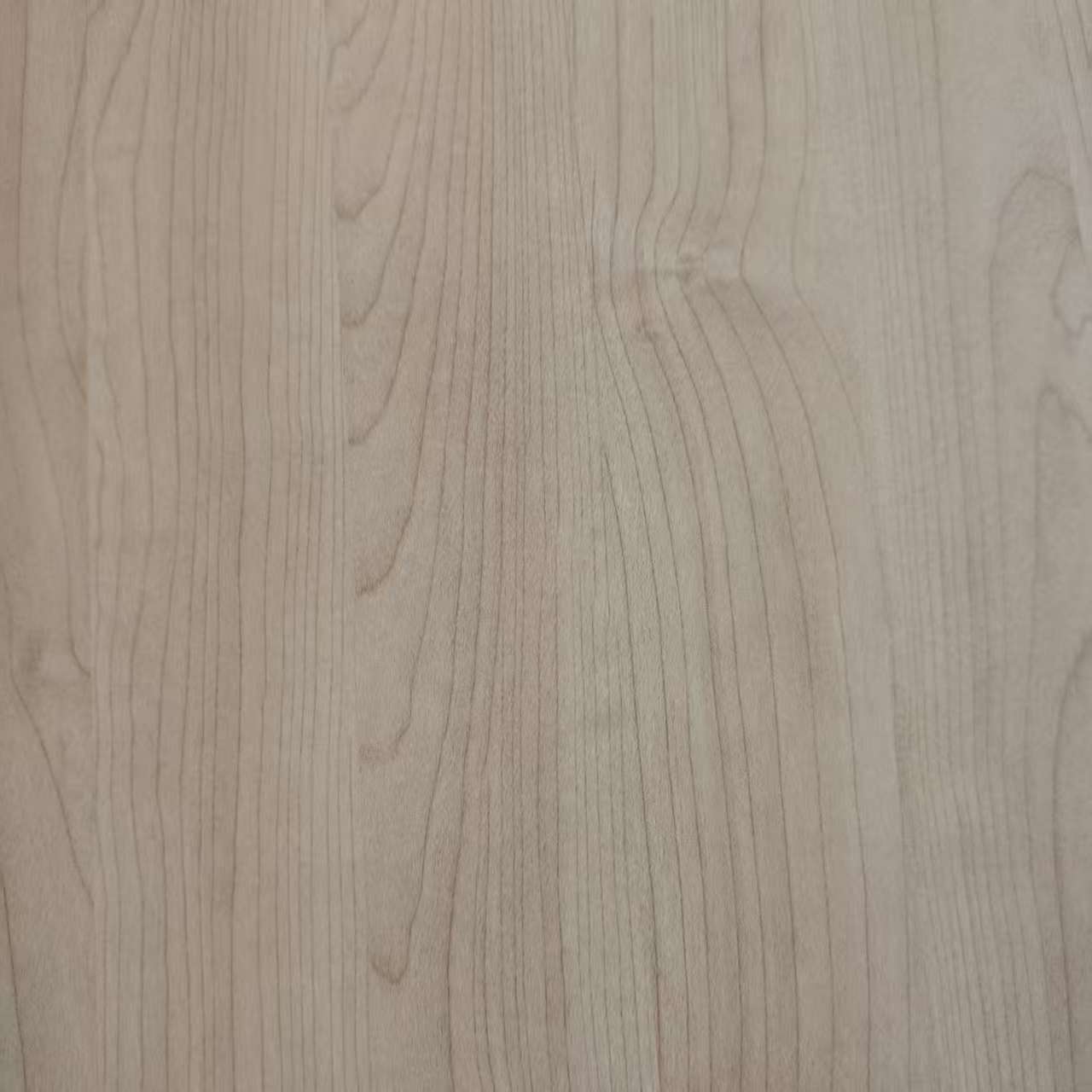 Papier mélamine8031-10